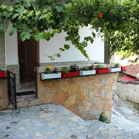 Kurti Apartment *