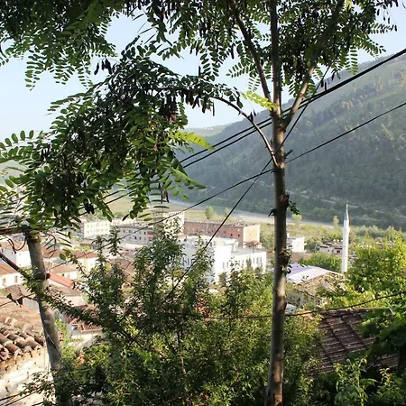 Kurti Apartman Berat