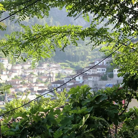 Kurti Berat